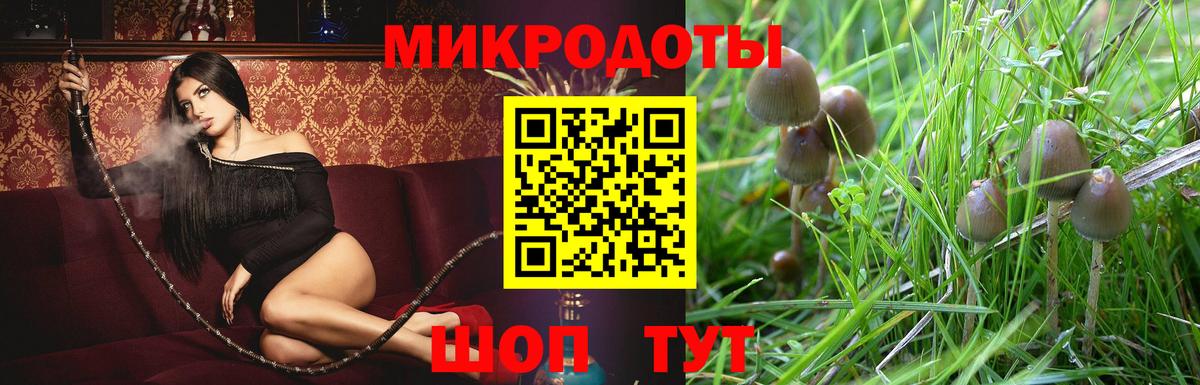 Псилоцибиновые грибы мицелий Соль-Илецк